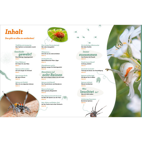 Deutsche, farbenfrohe Inhaltsseite mit Spinnenbildern, Netzen und Nahaufnahme einer weißen Blume mit Insekten.