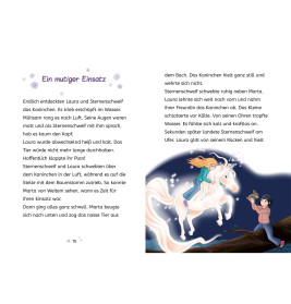 Sternenschweif, 3, Das Zauber-Zebra