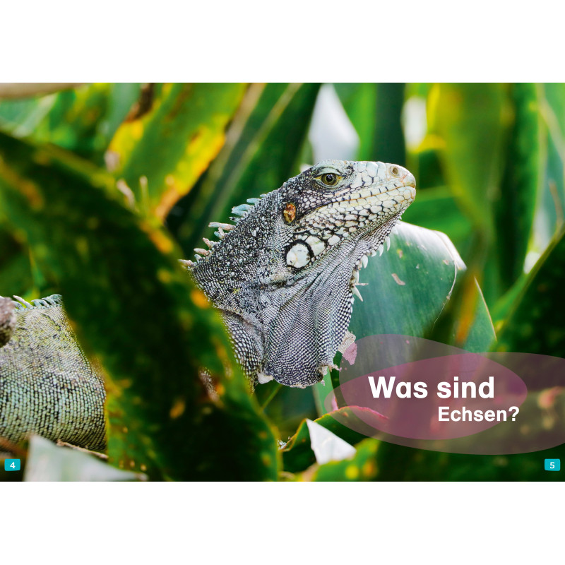 WAS IST WAS Erstes Lesen. Echsen