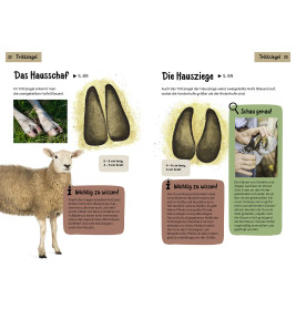 Welche Tierspur ist das? Kindernaturführer