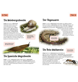 Welche Tierspur ist das? Kindernaturführer