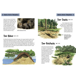 Welche Tierspur ist das? Kindernaturführer