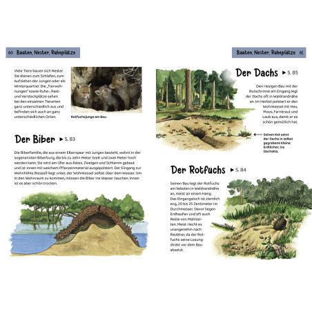 Welche Tierspur ist das? Kindernaturführer