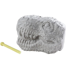 T-Rex Schädel mit Dino, 8-sort.