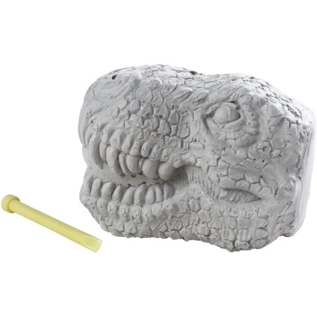 T-Rex Schädel mit Dino, 8-sort.