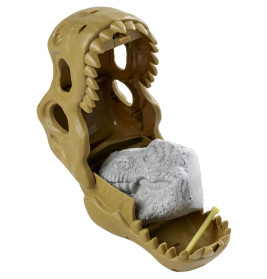 T-Rex Schädel mit Dino, 8-sort.