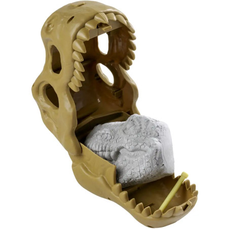 T-Rex Schädel mit Dino, 8-sort.