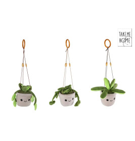 Drei Plüsch-Hängepflanzen in weißen Töpfen mit Gesichtern und verschiedenen grünen Blättern vor weißem Hintergrund.