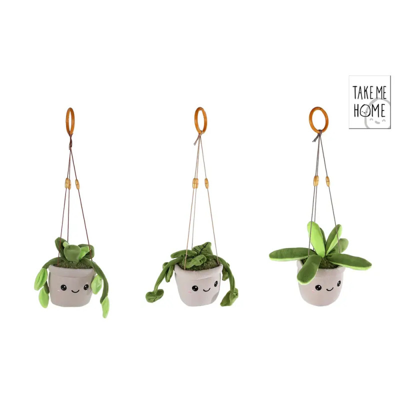 Drei Plüsch-Hängepflanzen in weißen Töpfen mit Gesichtern und verschiedenen grünen Blättern vor weißem Hintergrund.