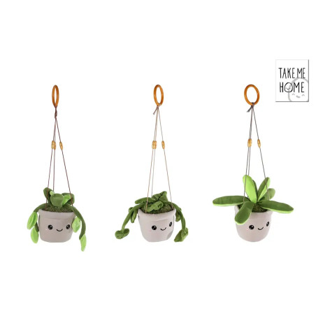 Drei Plüsch-Hängepflanzen in weißen Töpfen mit Gesichtern und verschiedenen grünen Blättern vor weißem Hintergrund.