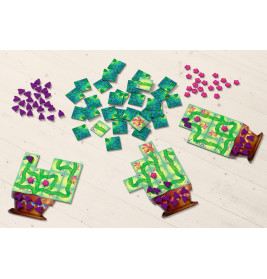 Carni Flora – Wachsen lassen