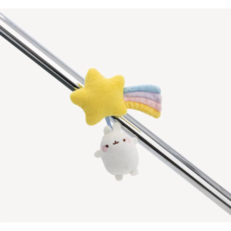 MagNICI Sternschnuppe mit MOLANG