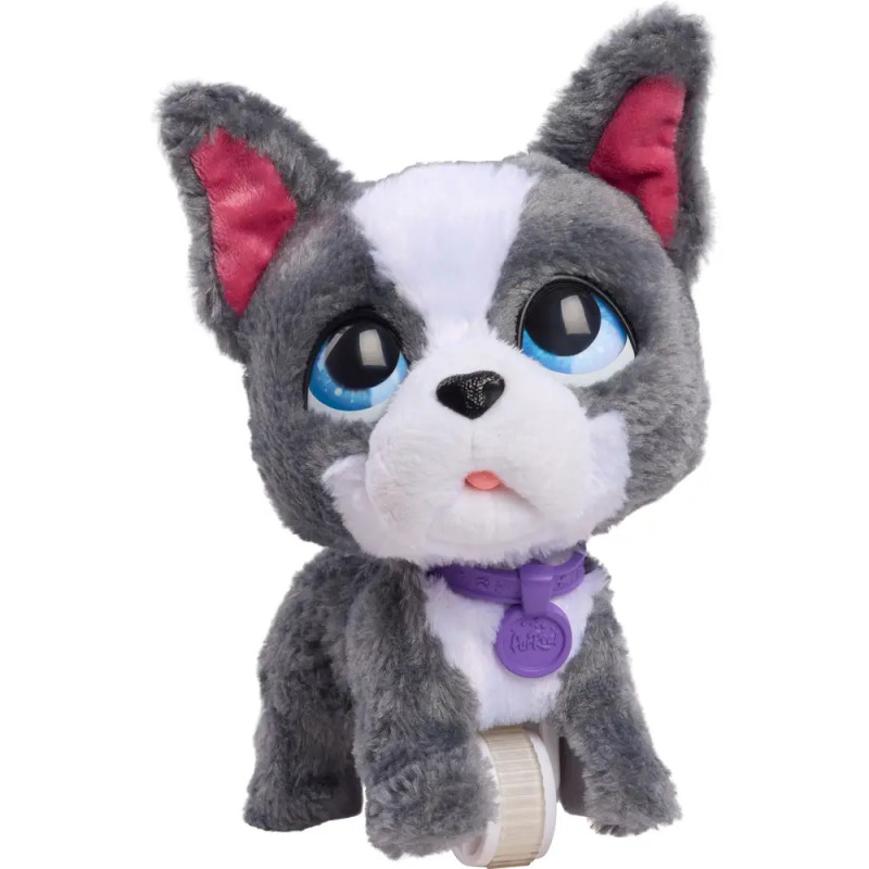 Grau-weißes Plüschhundespielzeug mit großen blauen Augen, rosa Ohren und lilafarbenem Halsband.