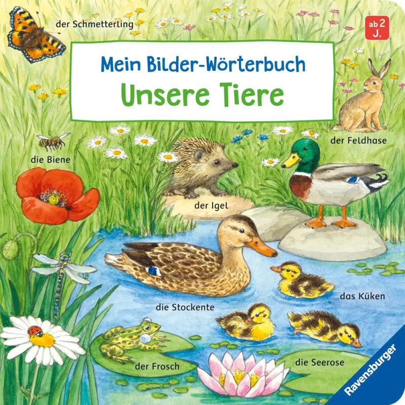 Illustrierte Teichszene mit beschrifteten Tieren: Biene, Schmetterling, Frosch, Ente, Küken, Igel, Hase und Seerose.