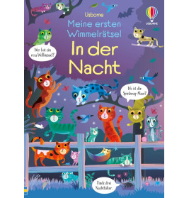 In der Nacht, Meine ersten Wimmelrätsel