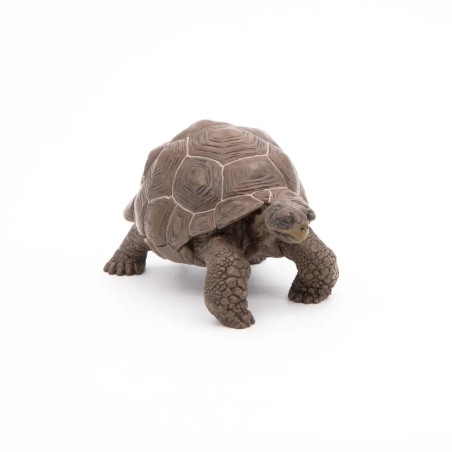 Papo 50161 Galápagos-Riesenschildkröte
