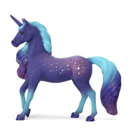 Galaxy Regenbogen Einhorn Hengst