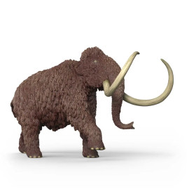 Mammut