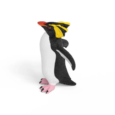 Felsenpinguin