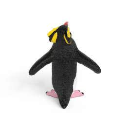 Felsenpinguin