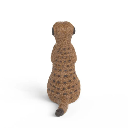 Erdmännchen