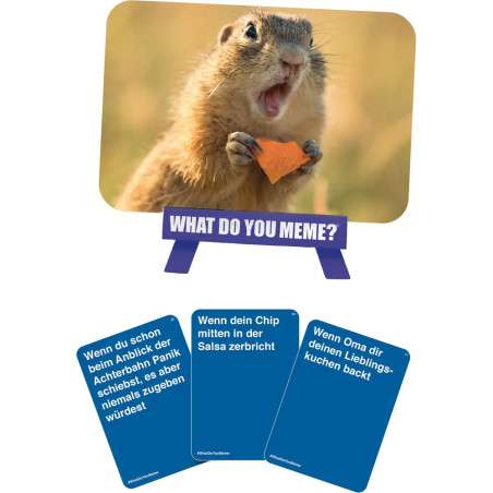 What Do You Meme - Family Edition (DE)
