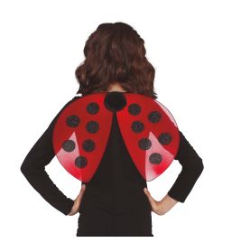 Flügel Marienkäfer 40x30 cm