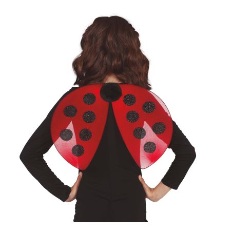 Flügel Marienkäfer 40x30 cm