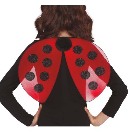 Flügel Marienkäfer 40x30 cm