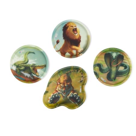 Fond of Schulranzen-Set cubo 'ExBärdition' 5-teilig | Ergonomisch & robust