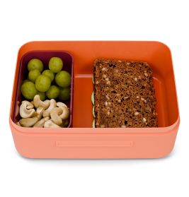 Fond of Brotdose Tiger – Kunststoff mit Trennfach (Türkis)