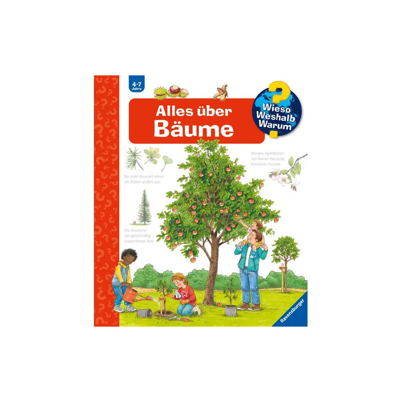 Drei Kinder und ein Erwachsener pflegen einen Baum deutsches Buchcover mit dem Titel Alles über Bäume.