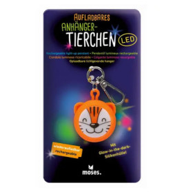 Oranger LED-Schlüsselanhänger in Katzenform mit Verpackung, beschriftet mit "Anhänger Tierchen" und "aufladbar".