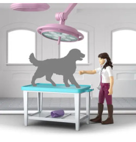 Pferdeklinik Heilende Hufe