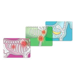 Pferdeklinik Heilende Hufe