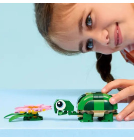 Creator Schildkröte mit Seerose