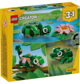 Creator Schildkröte mit Seerose