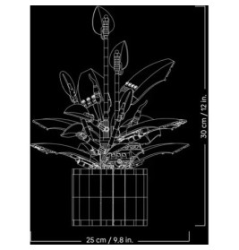 BOTANICALS Friedenslilie