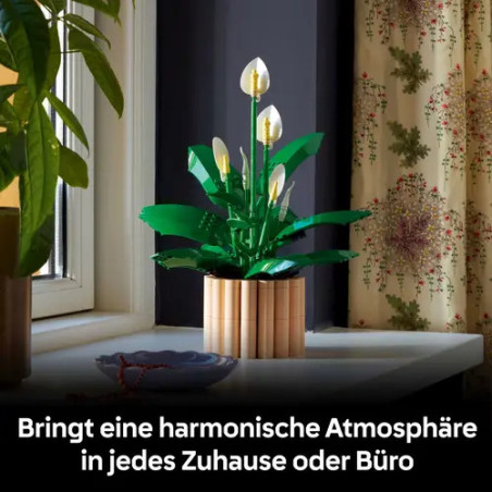 BOTANICALS Friedenslilie