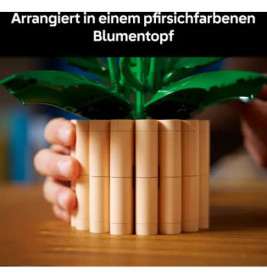 BOTANICALS Friedenslilie