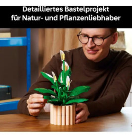 BOTANICALS Friedenslilie