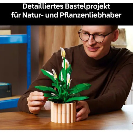 BOTANICALS Friedenslilie