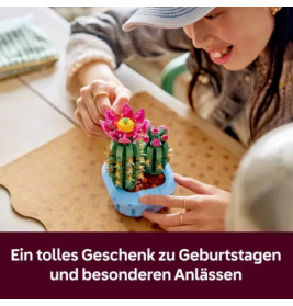 Blühender Kaktus