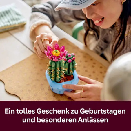 Blühender Kaktus