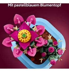 Blühender Kaktus