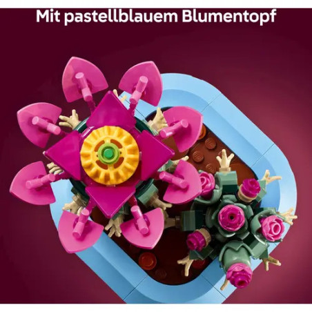 Blühender Kaktus