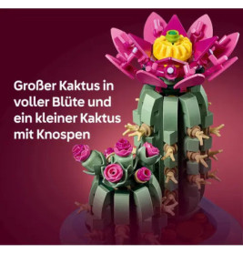 Blühender Kaktus