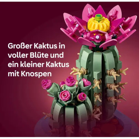 Blühender Kaktus