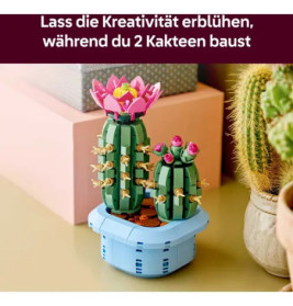 Blühender Kaktus