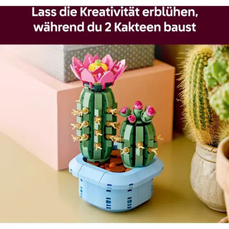 Blühender Kaktus